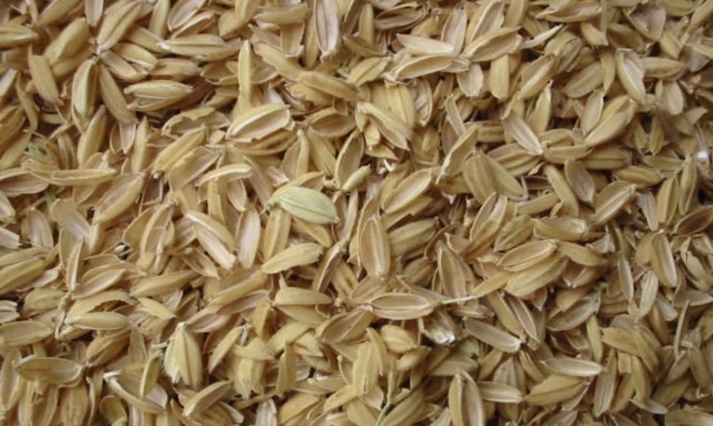 Rice husk (sekam padi)