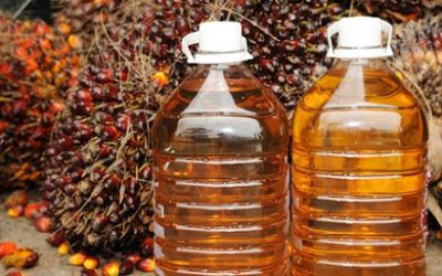 BRIN: Potensi Bioetanol dari Tandan Kosong Kelapa Sawit Capai 1,6 Juta Ton per Tahun